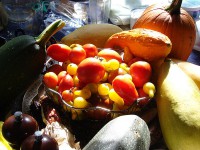 /album/fotogalerij-vlees/a800px-fruitarrangement-jpg/