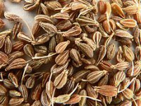 /album/fotogalerij-vlees/a230px-aniseed-p1160018-jpg1/