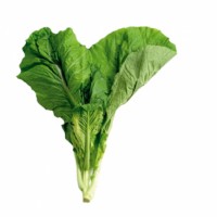 /album/fotogalerij-vlees/a254b5b6557458f5caa751c45c3d33043-medium-jpg1/