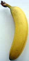 /album/fotogalerij-vlees/a284px-bananen-frucht-jpg1/