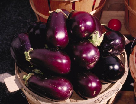 zoekwoord, Aubergine