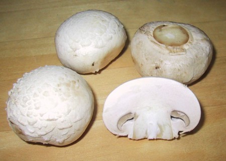 zoekwoord, Champignons
