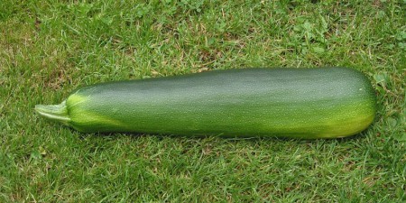 zoekwoord, Courgette